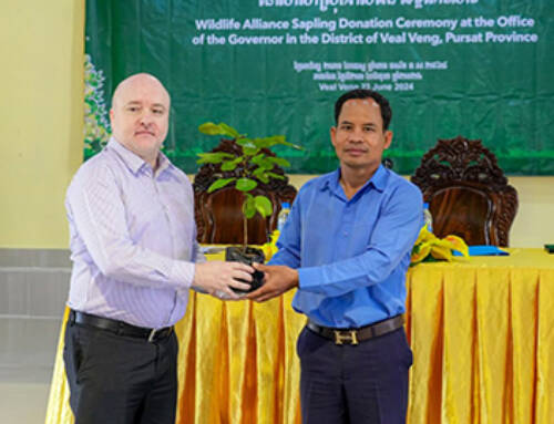 Wildlife Alliance donates 20,000 saplings to the District Administration of Veal Veng